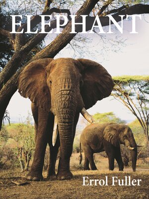 cover image of Elephant
